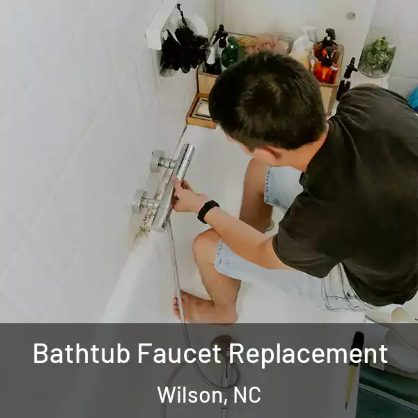  Bathtub Faucet Replacement Wilson, NC