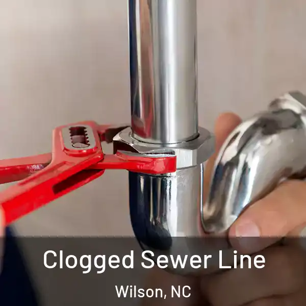  Clogged Sewer Line Wilson, NC