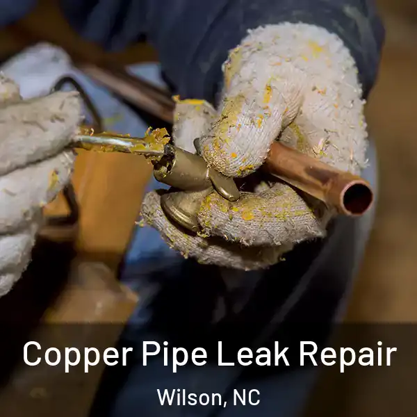  Copper Pipe Leak Repair Wilson, NC