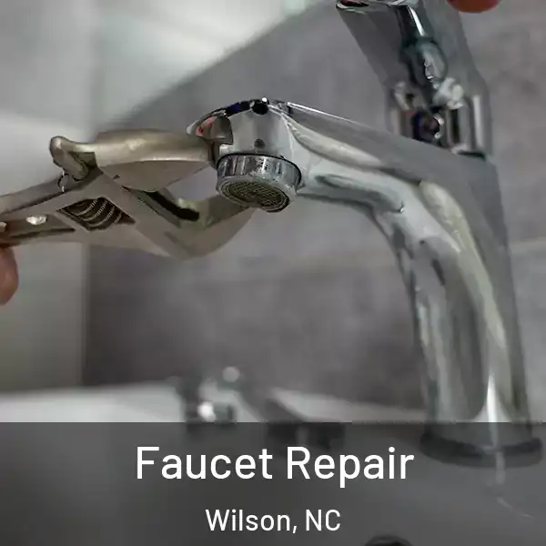  Faucet Repair Wilson, NC