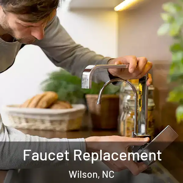  Faucet Replacement Wilson, NC