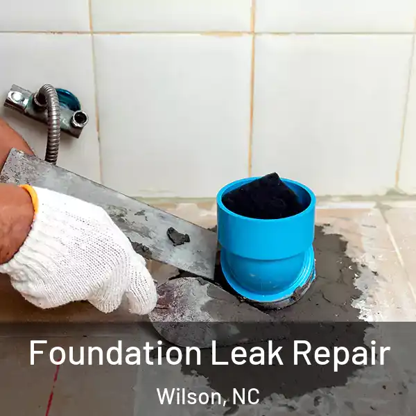  Foundation Leak Repair Wilson, NC