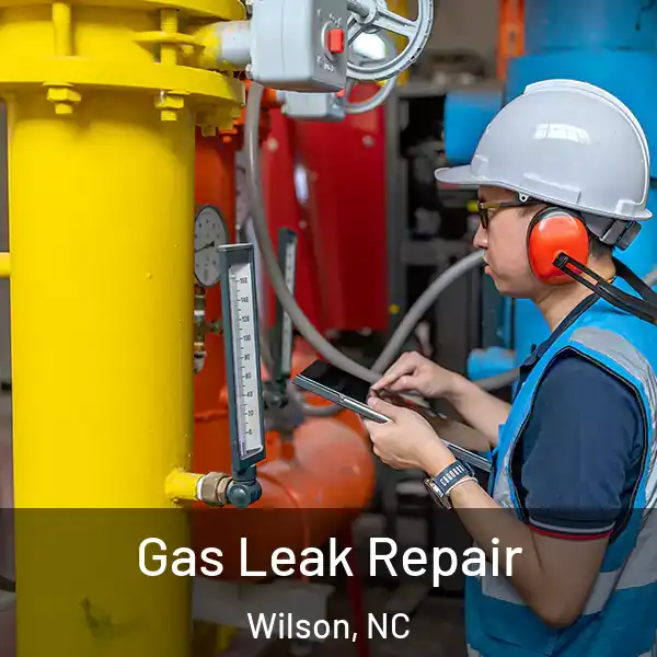 Gas Leak Repair Wilson, NC
