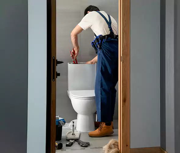 Professional Plumbers for Toilet Bowl Replacement in Wilson, NC: Schedule Affordable Toilet Replacement Services With Us