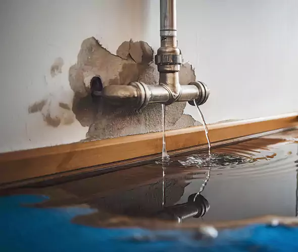 Professional Water Damage Restoration Experts in Wilson, NC — Fast, Reliable & Certified