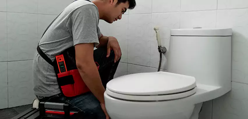 Toilet Repair in Wilson