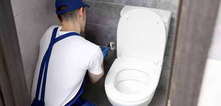 Toilet Lid Replacement in Wilson