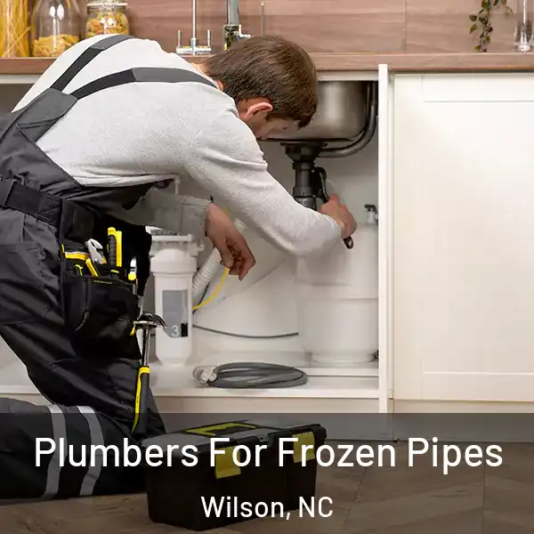  Plumbers For Frozen Pipes Wilson, NC