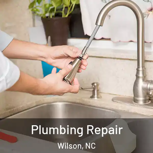  Plumbing Repair Wilson, NC