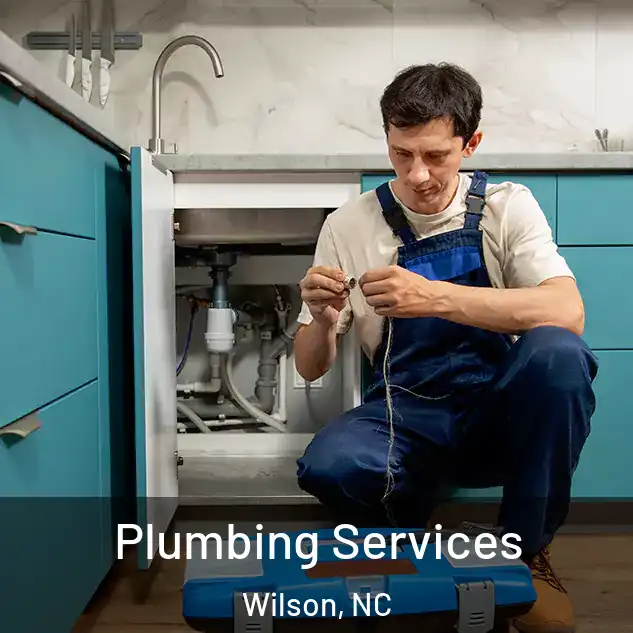 Plumbing Services Wilson, NC