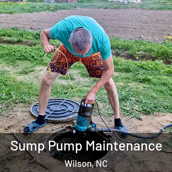  Sump Pump Maintenance Wilson, NC