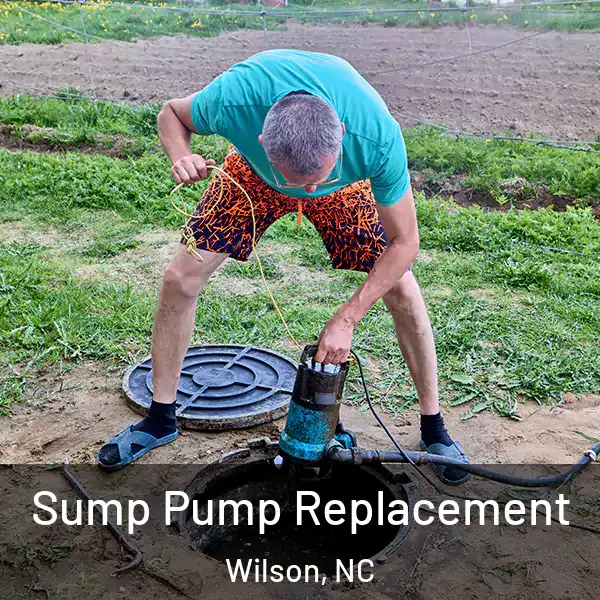  Sump Pump Replacement Wilson, NC