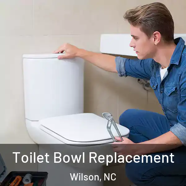  Toilet Bowl Replacement Wilson, NC