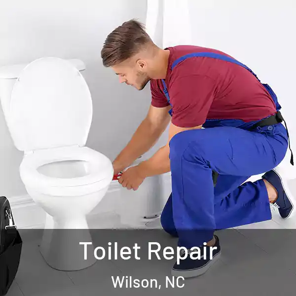  Toilet Repair Wilson, NC