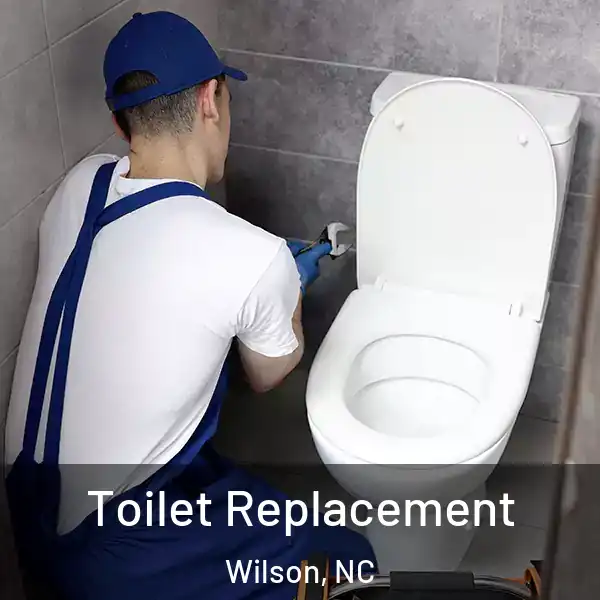  Toilet Replacement Wilson, NC