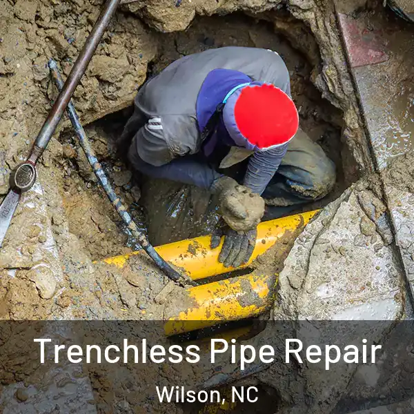  Trenchless Pipe Repair Wilson, NC