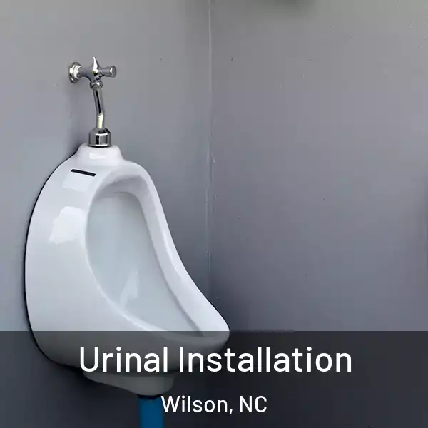  Urinal Installation Wilson, NC