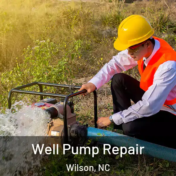  Well Pump Repair Wilson, NC